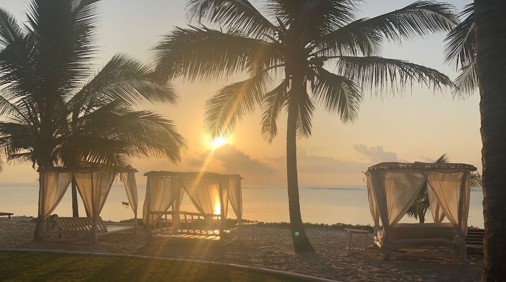 #OnTheRoad
😁
The Maji Beach Boutique Hotel
The owner came out to introduce herself and I was so delighted ❤️ Italian hospitality 😍
I literally felt like I was in the Aladdin movie waiting for Sinbad to come and join me for a cool drink🤩