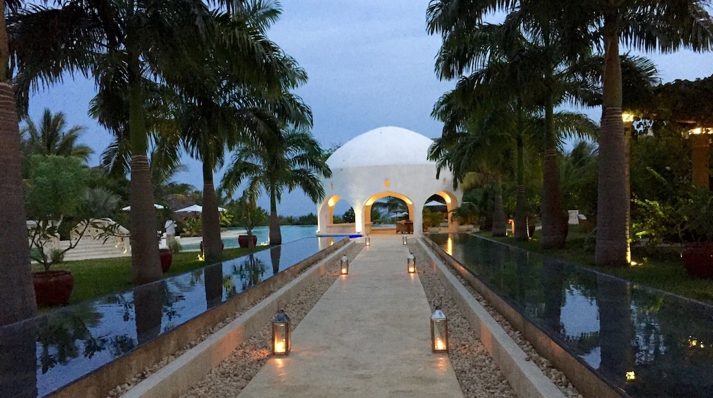 Evening photography..