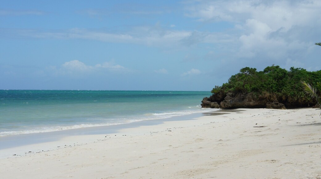 The perfect place to stroll?