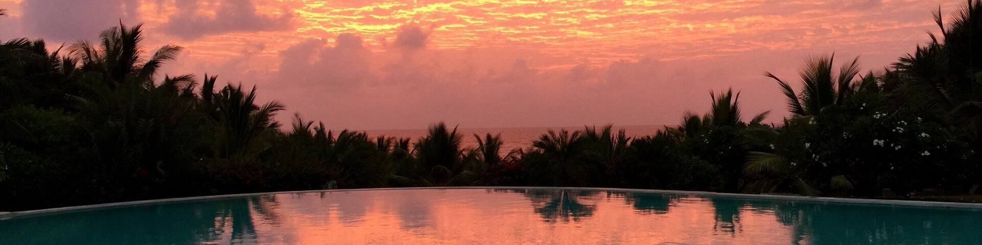A sunset over a swimming pool with palm trees in the foreground.