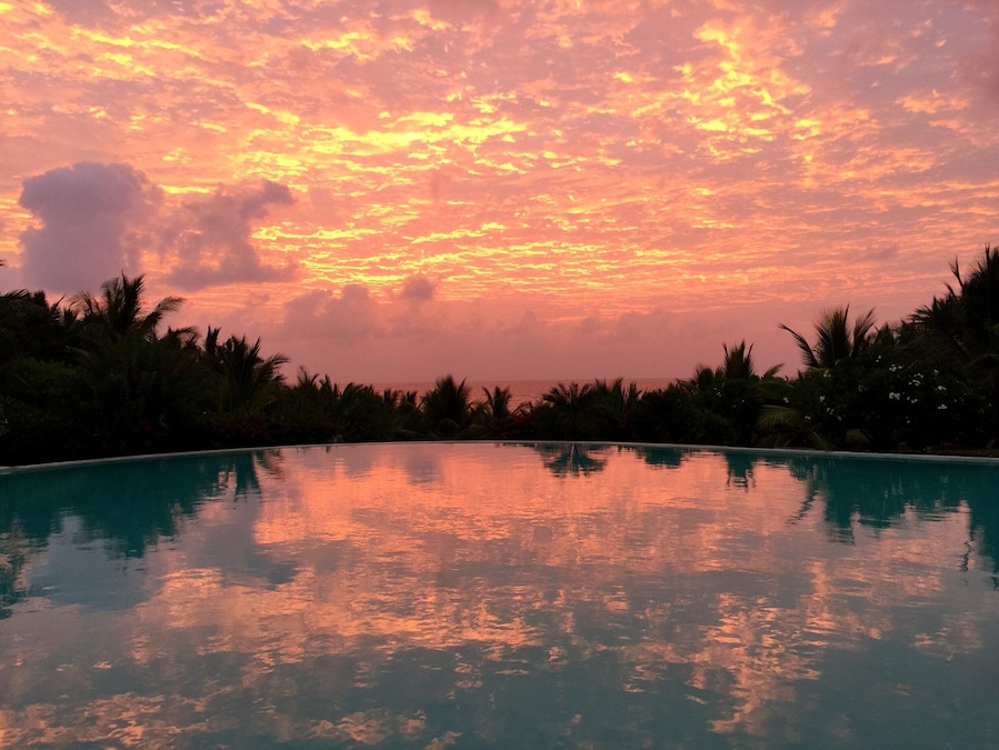 A sunset over a swimming pool with palm trees in the foreground.