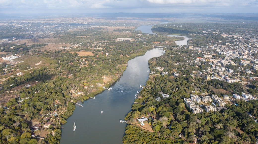 Aerial view of Mtwapa Creek winding through verdant trees, with boats dotting the dark water, under a bright sky, Mombasa, Mombasa County, Kenya.