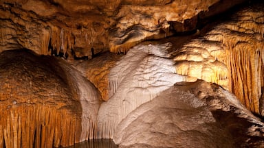 Una cueva con estalactitas y estalagmitas.