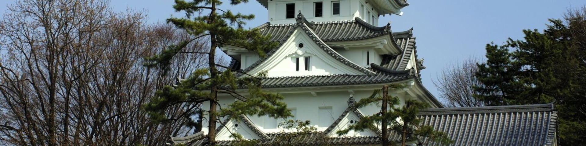 外観修復を終えた大垣城天守