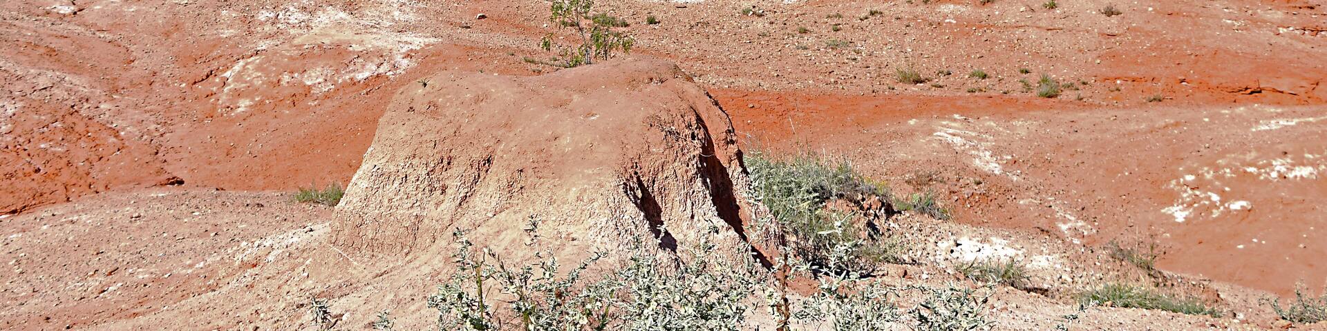 Located in the Texas panhandle just a short drive from Amarillo. Palo Euro is the second largest canyon in the country