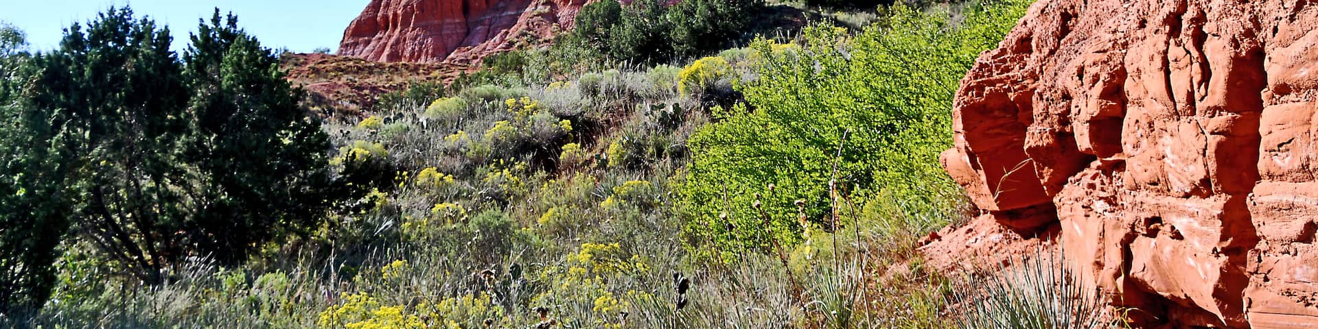 Located in the Texas panhandle just a short drive from Amarillo. Palo Euro is the second largest canyon in the country