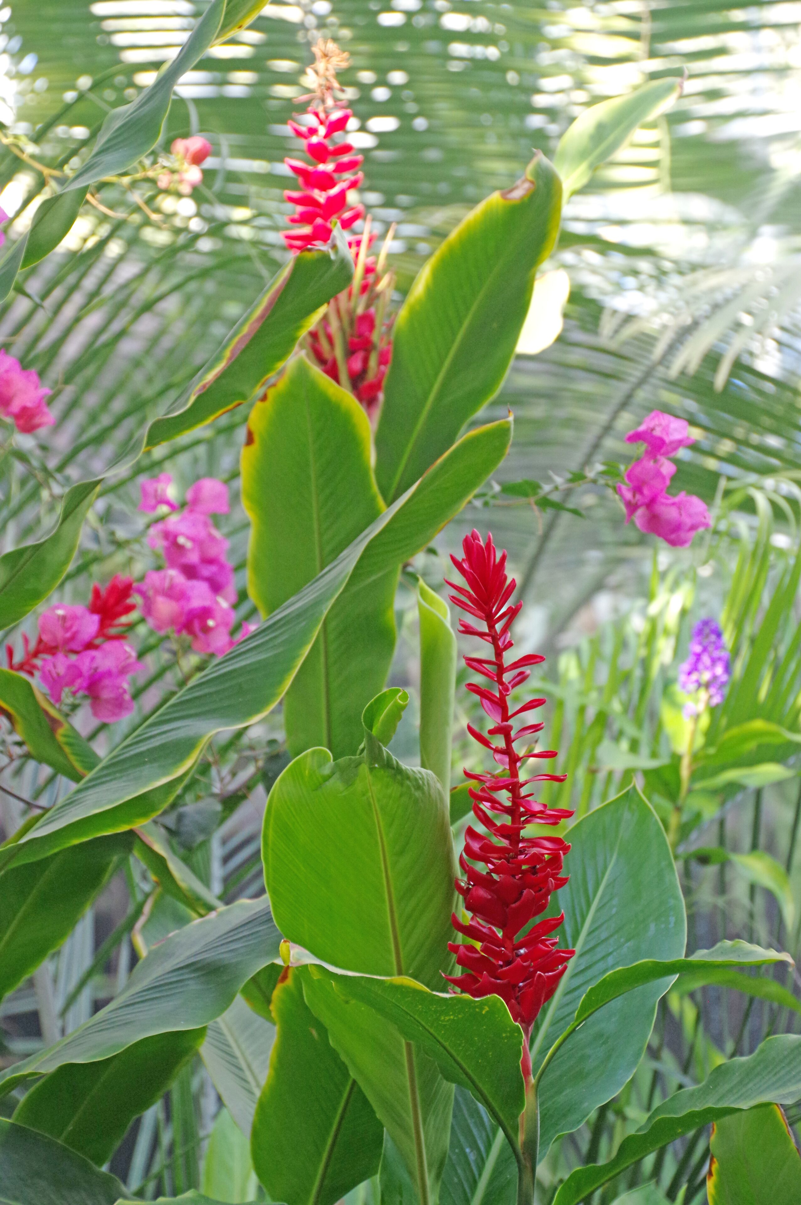 The arboretum is stuffed with interesting plants and beautiful flowers.