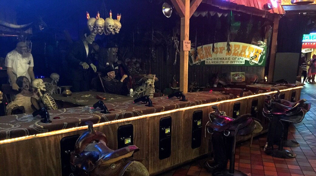 The Big Texan Steak Ranch is full of quirky animatronics and special effect gags similar to Wall Drug near the Badlands in South Dakota. Fire away at skeletons playing cards, zombies, rattle snakes, and...Frankenstein? at this fun shooting gallery.