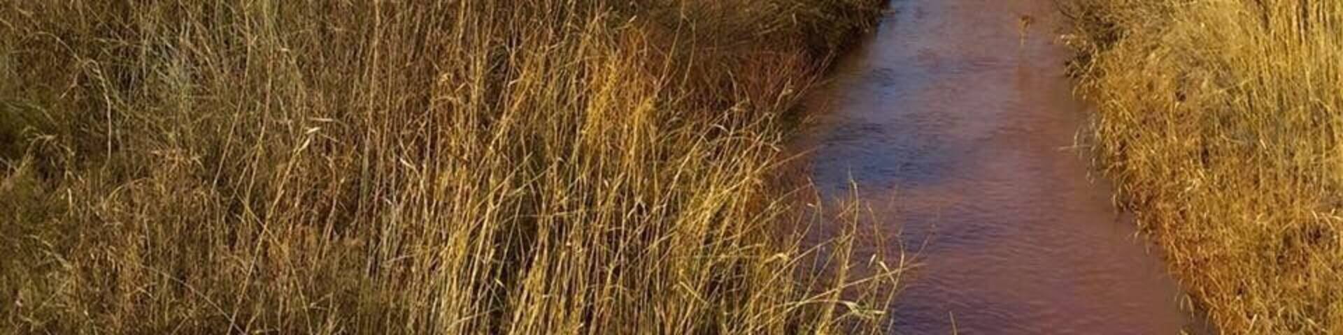 Un lecho de río seco con vegetación escasa y una montaña rocosa al fondo.