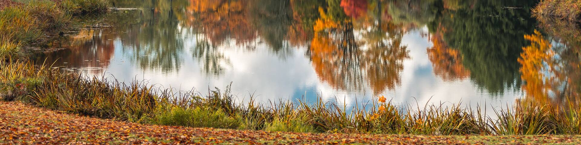 Autumn at Lake Scajawea