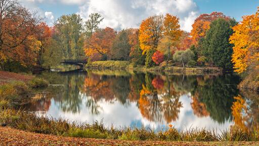 Autumn at Lake Scajawea