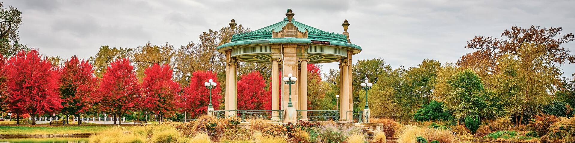 Fall time in Forest Park