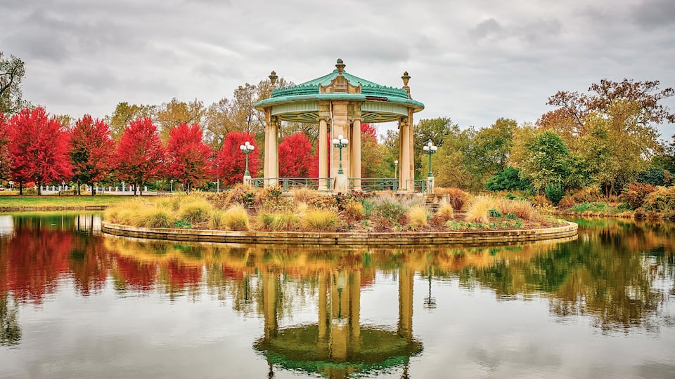 Fall time in Forest Park