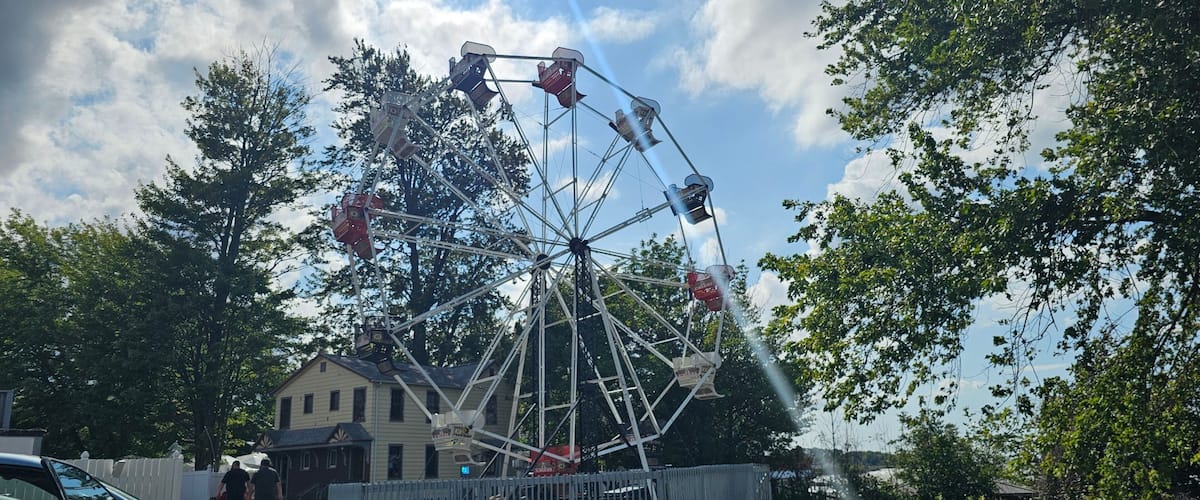 A Ferris wheel with cabins, a house, and trees in the background.