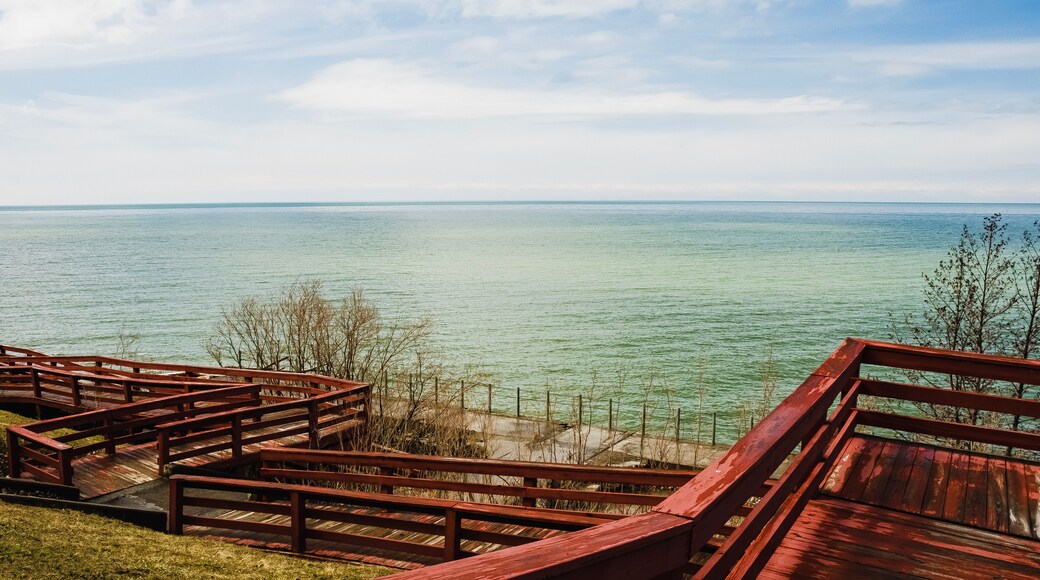wooden bridge over the lake