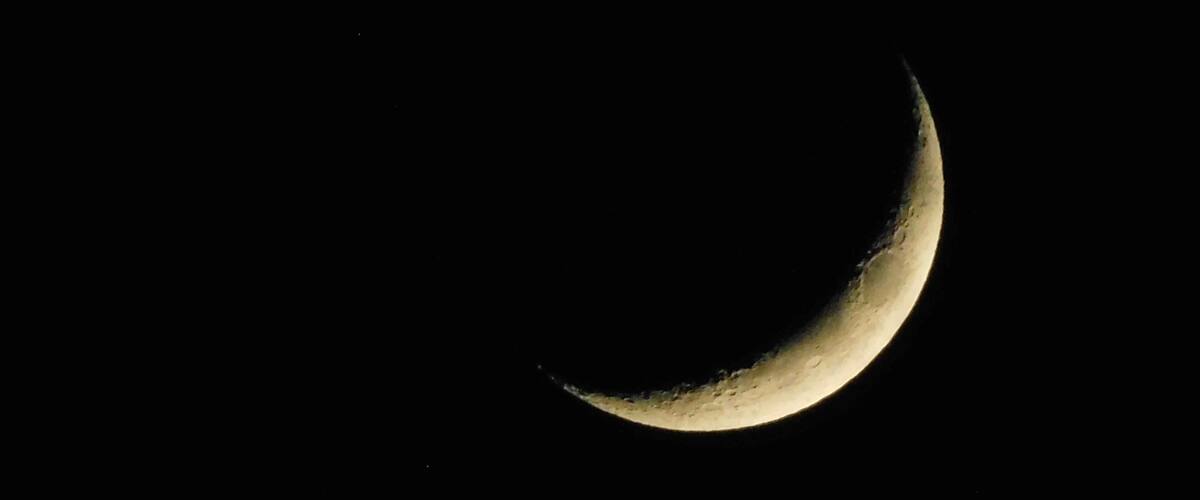 Nikon B500 - zoomed in photo, Jan 2017