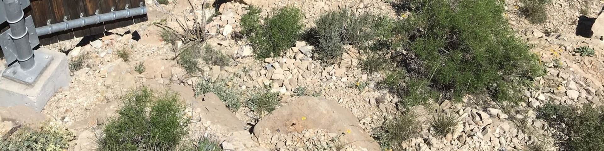 #Parks #AboveItAll The tram up to one of the high spots of Franklin Mountains State .