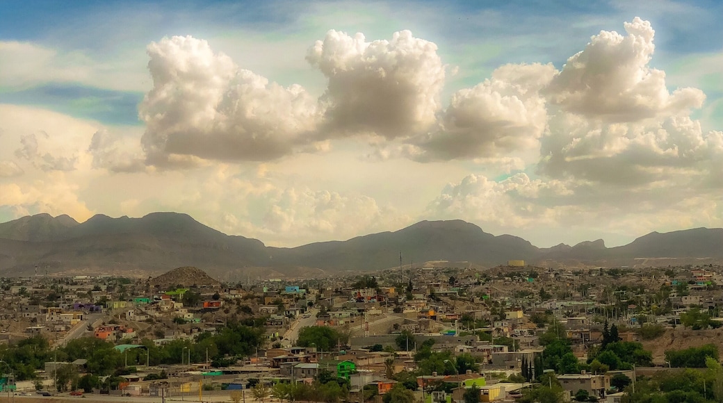 One of the most unique cities I’ve had the pleasure of traveling through. El Paso Texas. Such great culture, such unique landscape and scenery! If you want to find a unique, neat and fascinating city. Definitely spend a day and travel through El Paso. #texas #elpaso #travel