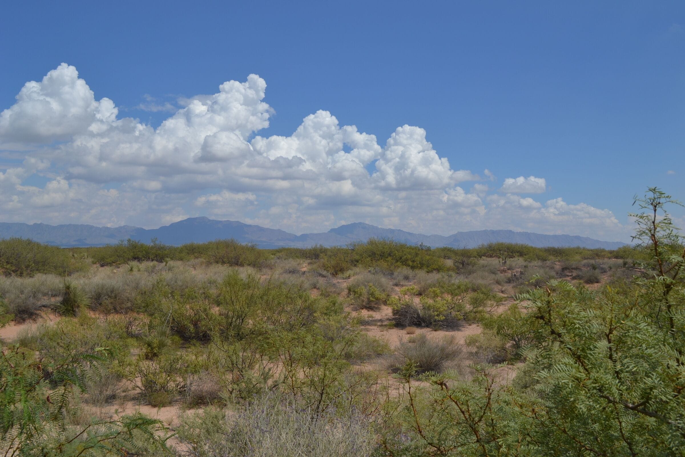 Mountains outside of El Paso, Texas as seen from the Doña Ana airport in New Mexico.