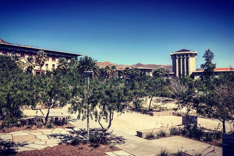 A campus courtyard with palm trees, a stone pathway, and a building with a tower.