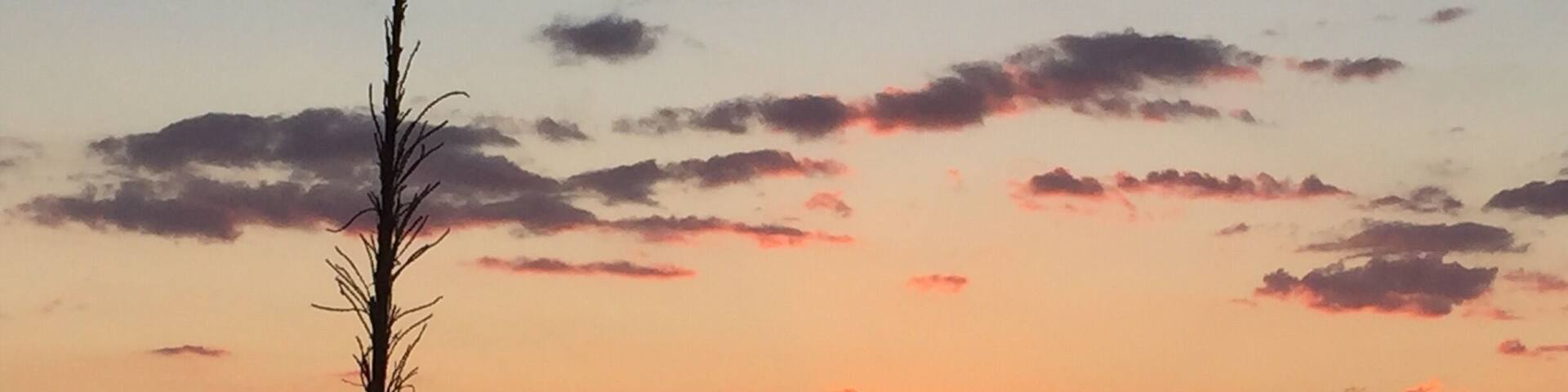Beautiful sunset viewed from a winding road along the Franklin Mountains that nestle El Paso!