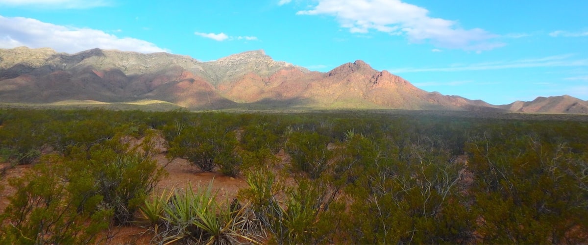 The Franklin Mountains view from the Lazy cow 🐄 bike trail 🚲 #thedesert #ElPaso #Tx
#Desert #mountainbiking #biketrails #FranklinMountains #bluesky #cloudyday #LazyCowTrail
