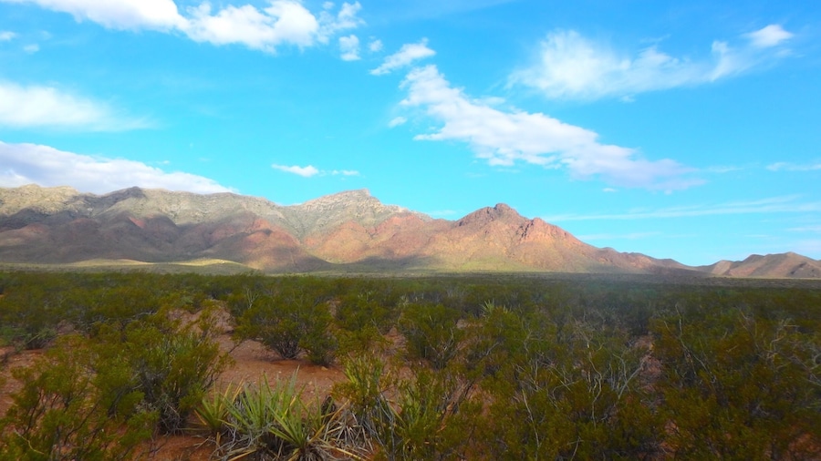 The Franklin Mountains view from the Lazy cow 🐄 bike trail 🚲 #thedesert #ElPaso #Tx
#Desert #mountainbiking #biketrails #FranklinMountains #bluesky #cloudyday #LazyCowTrail