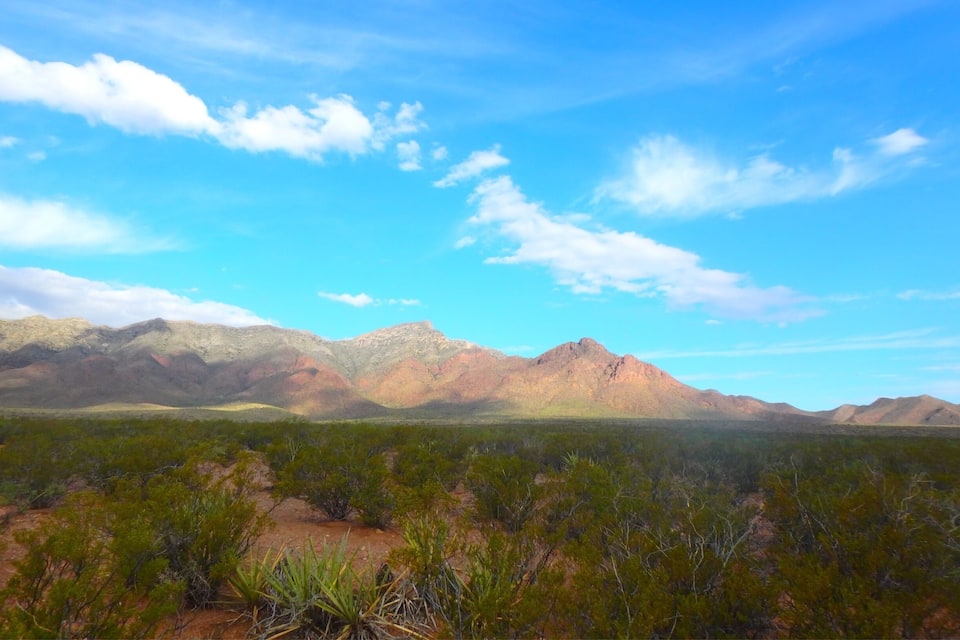 A desert landscape with mountains in the background and sparse vegetation in the foreground.