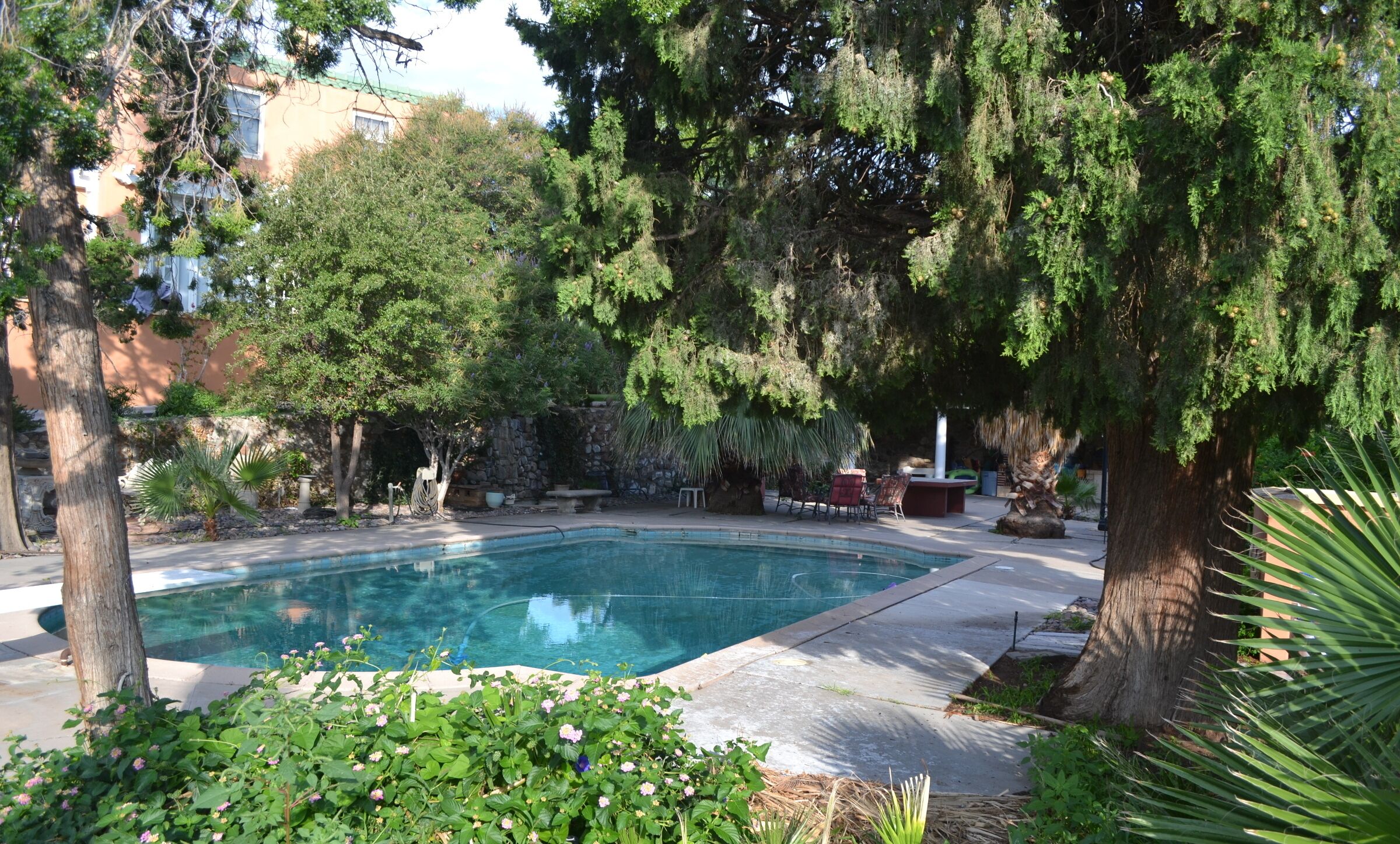 Swimming pool at my friend's house in El Paso, TX