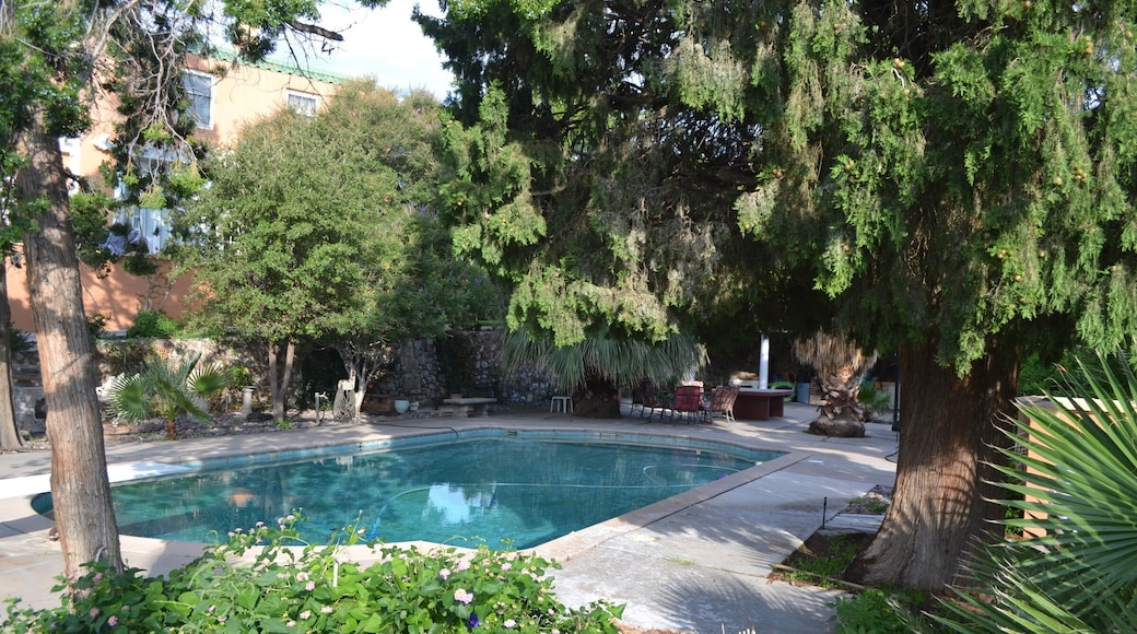 Swimming pool at my friend's house in El Paso, TX