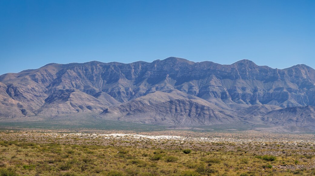 Guadelupe Range Panorama