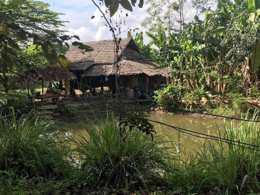 Organic farm where we learn to be self sufficient