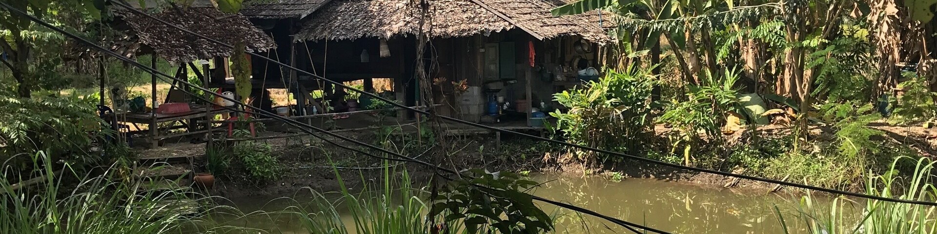 Organic farm where we learn to be self sufficient