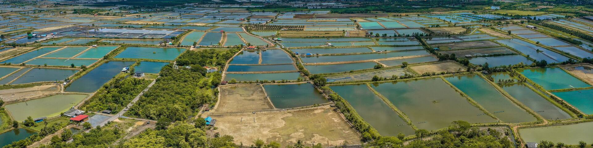 Wat Thap Pho Thong temple in Ratchaburi, Thailand