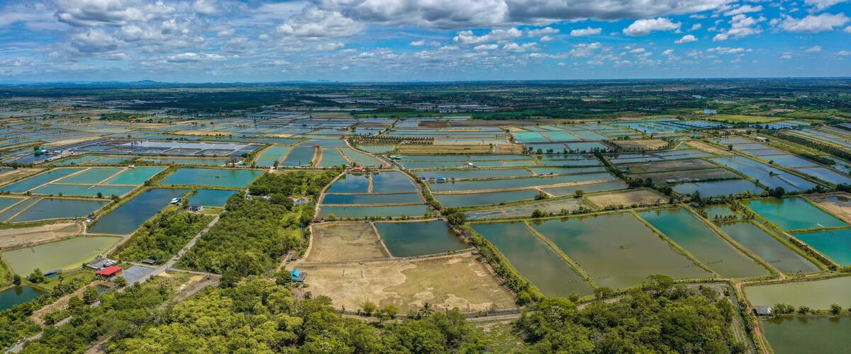 An aerial view of a large agricultural area with numerous water tanks and fields.
