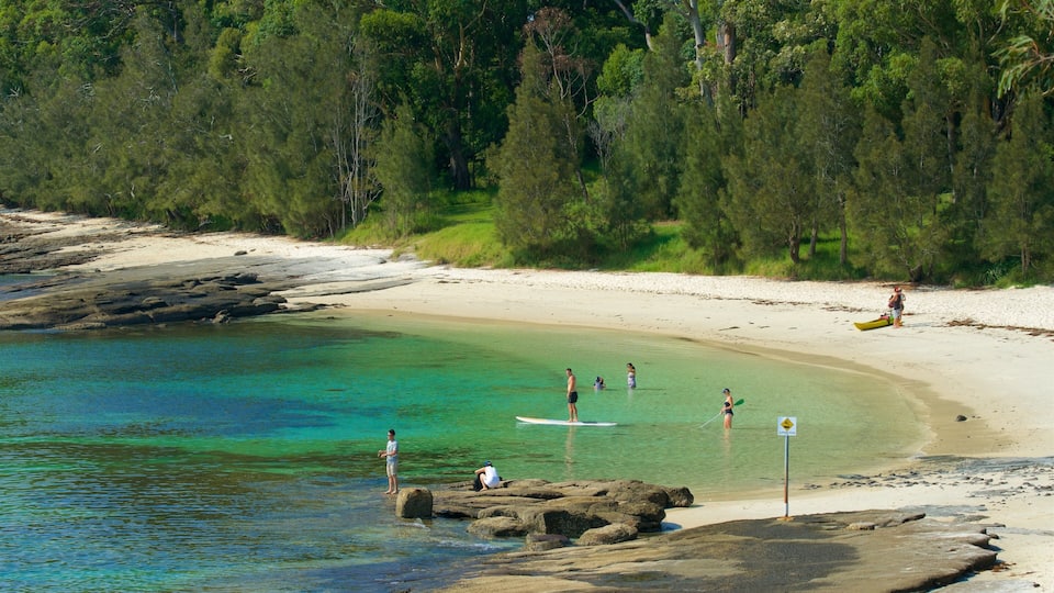 A beach with clear turquoise water, people paddling kayaks, and a sandy shore with trees in the background.