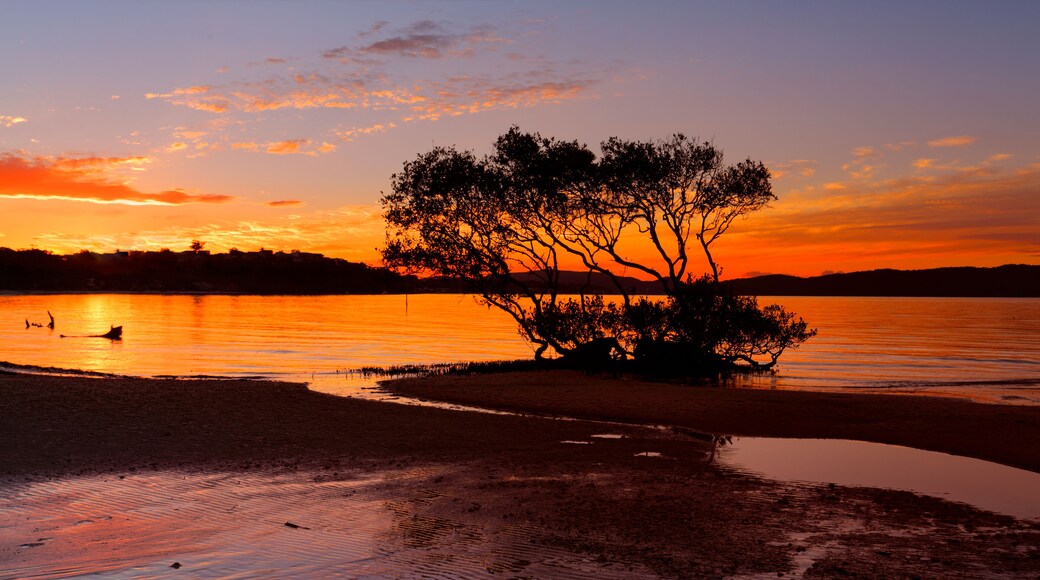 Sunset Salamander Bay