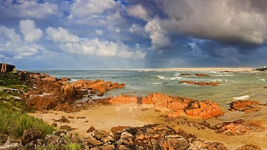 Sea Birubi bay light pan