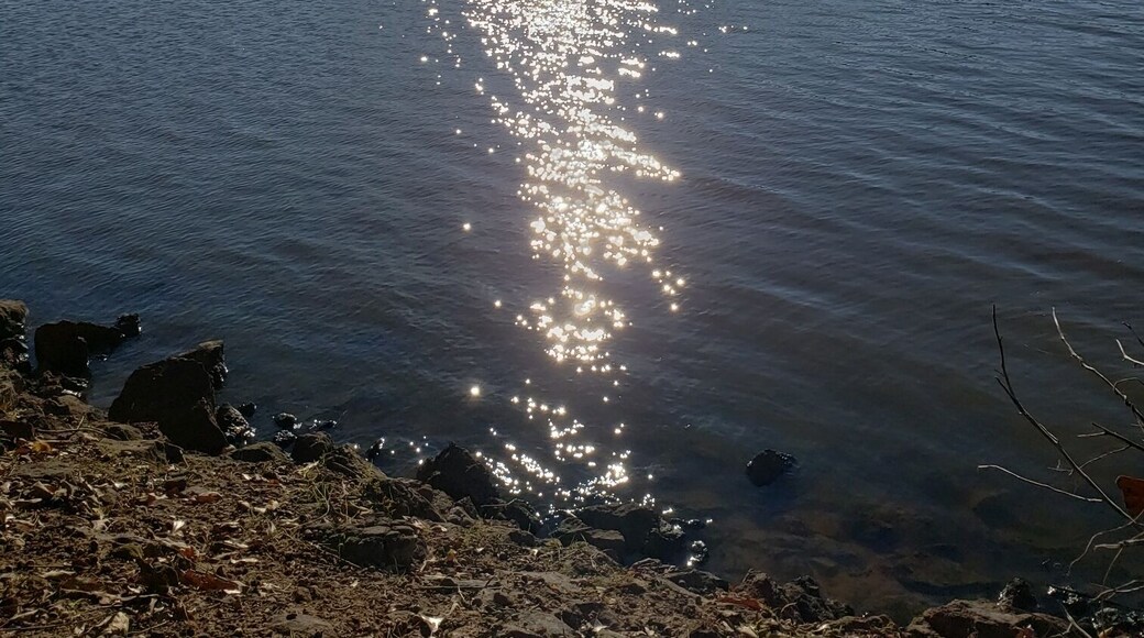 Peaceful place to go chill
#Perspectives
#Nature
#World