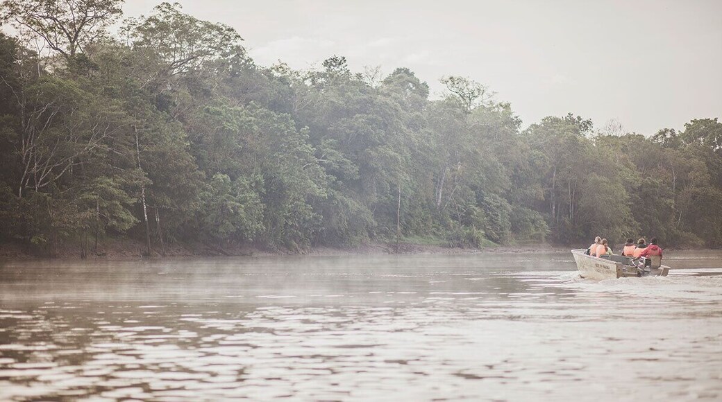 Had the best experience with Nasalis Larvatus Tours in Borneo. Here on a morning boattrip to watch the wildlife along the Kinabatangan river.