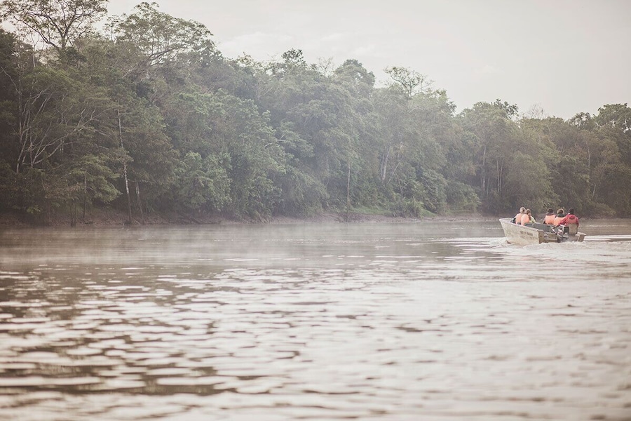 Had the best experience with Nasalis Larvatus Tours in Borneo. Here on a morning boattrip to watch the wildlife along the Kinabatangan river.