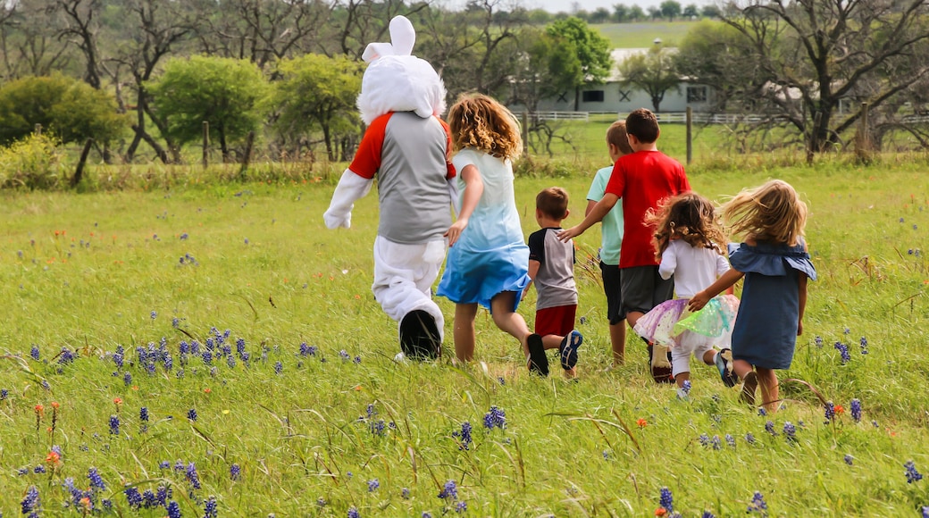 Brenham