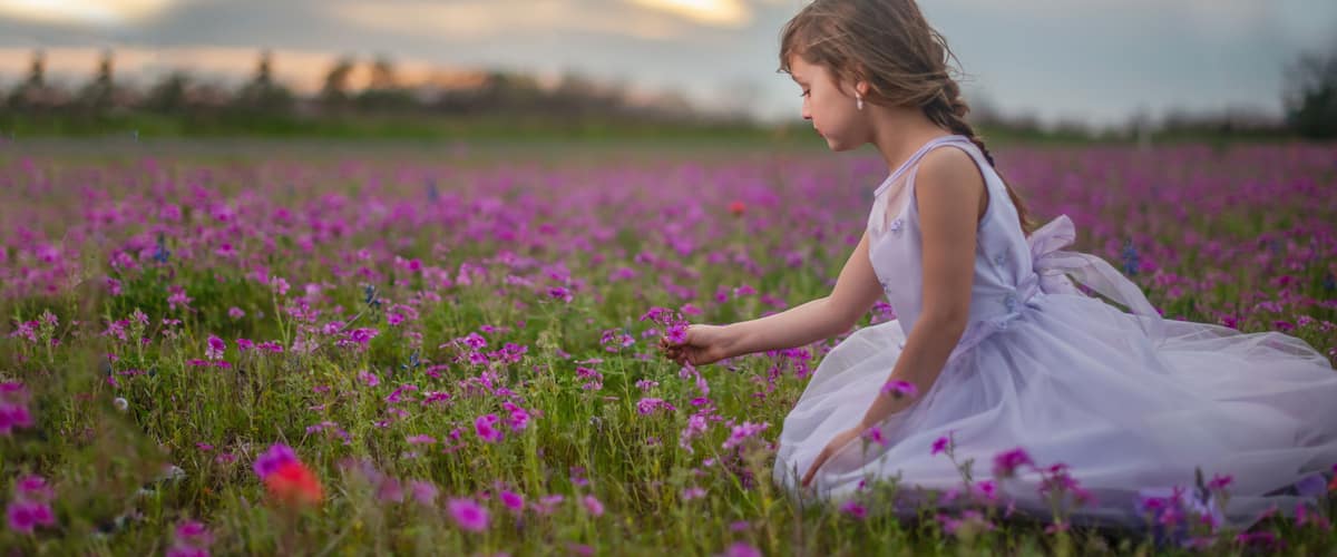 Eine Person sitzt inmitten eines Feldes lila Blumen.