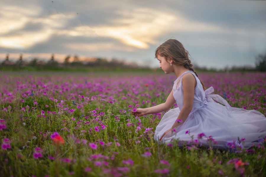 Una persona sentada en un campo de flores moradas.