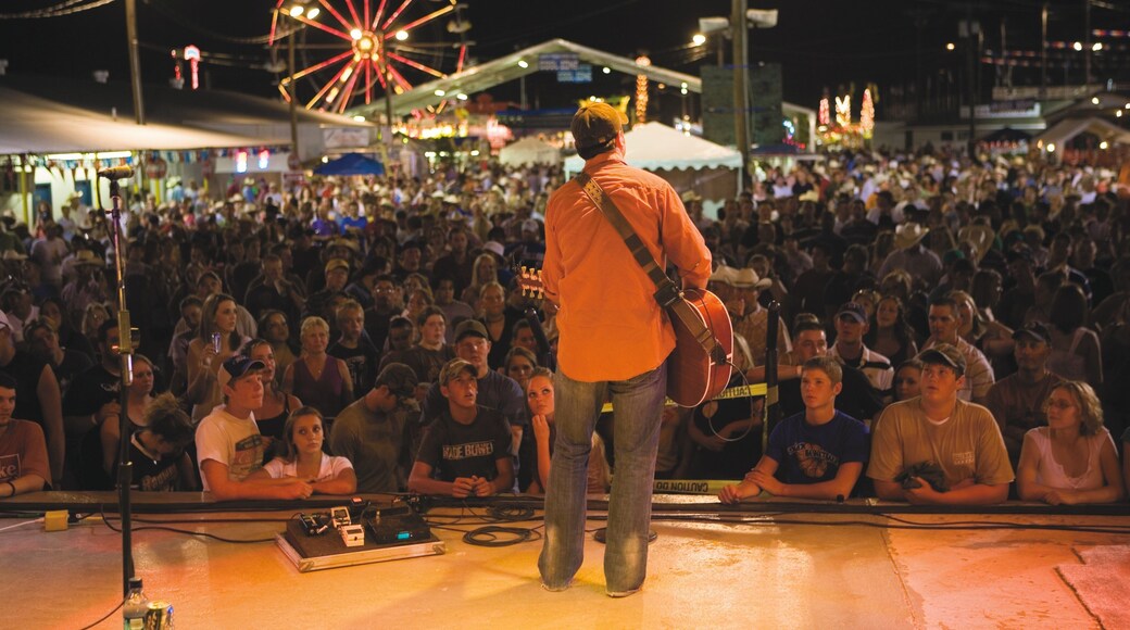 Denton showing night scenes, music and performance art