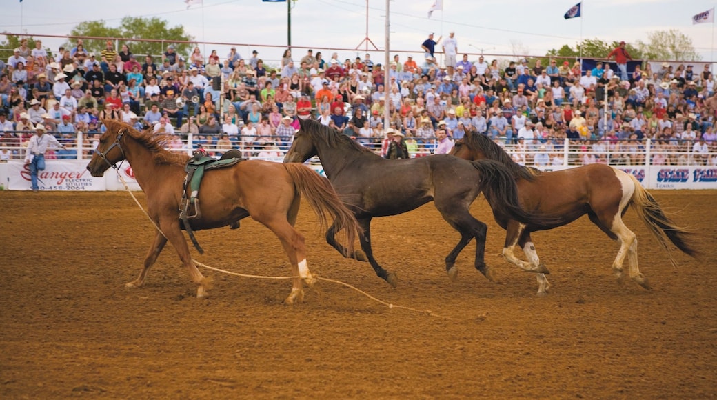 Denton mostrando animales terrestres y arte escénica y también un gran grupo de personas