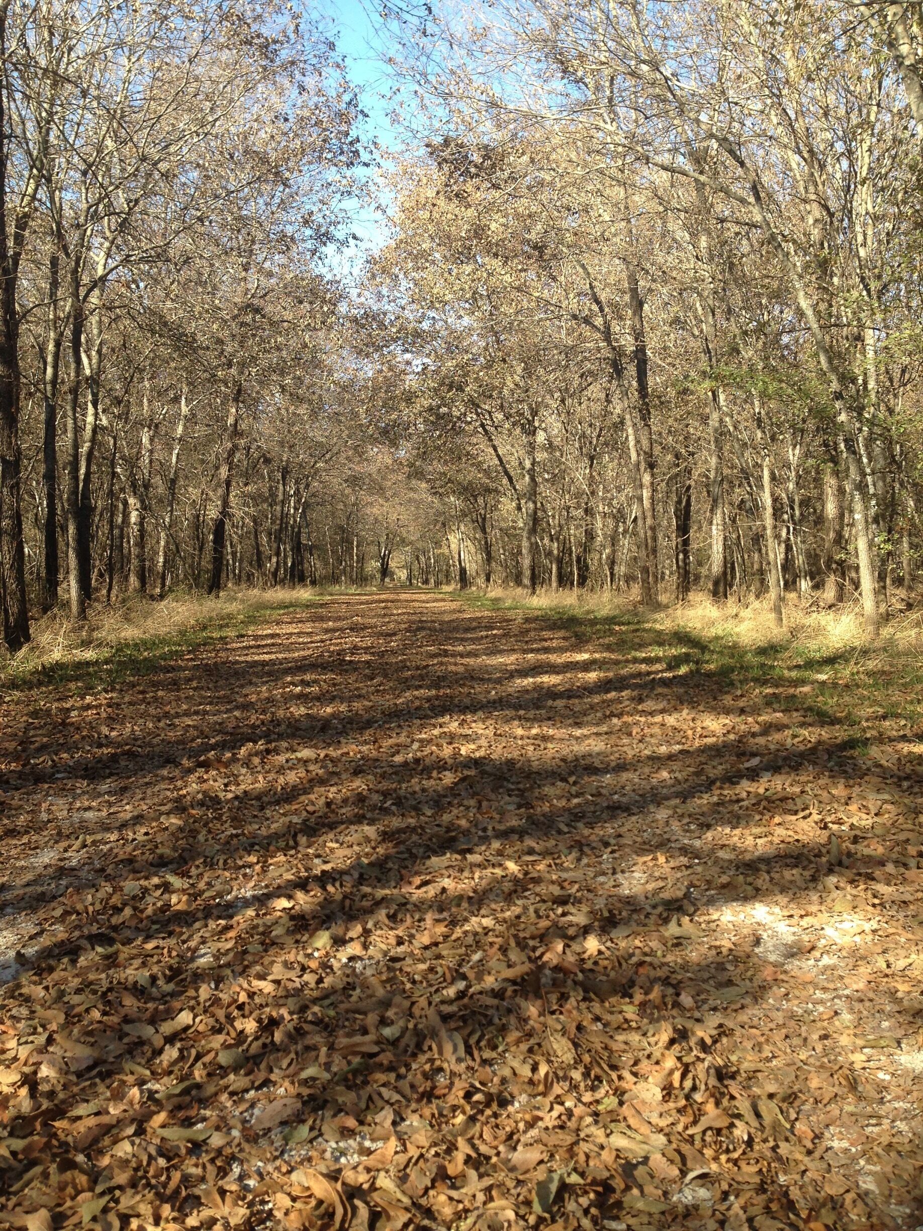 




Adventure is out there. 