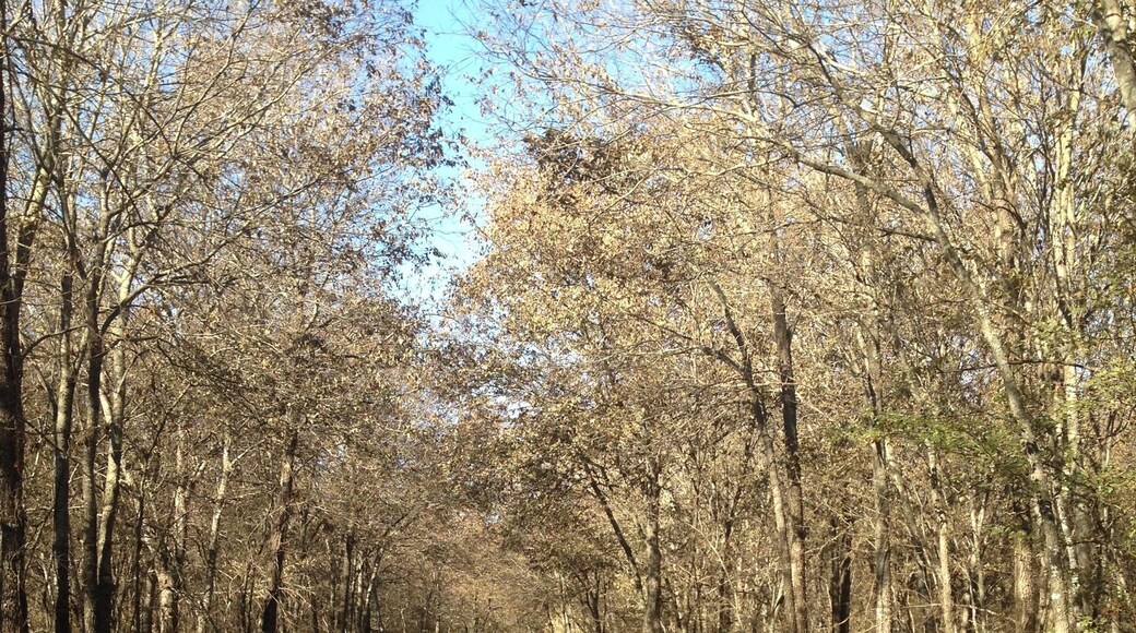 Adventure is out there.