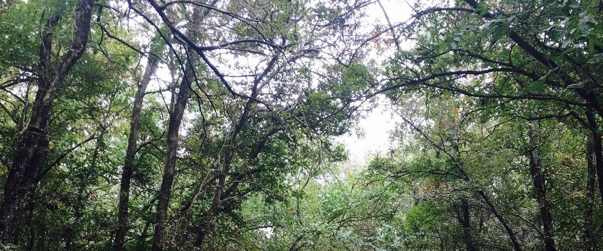 Great walking or biking trailer along the river.