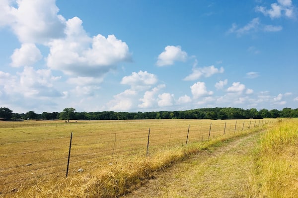 A rural landscape with a fenced field, a dirt path, and a line of trees in the distance under a partly cloudy sky.